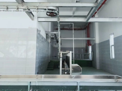 这个a级畜禽屠宰加工厂即将投产 产品将销往全国各地