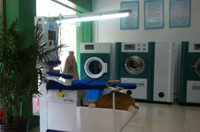 干洗店如何更加的赚钱 澳贝森干洗